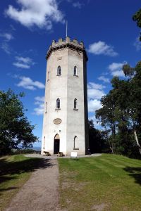 Nelson Tower